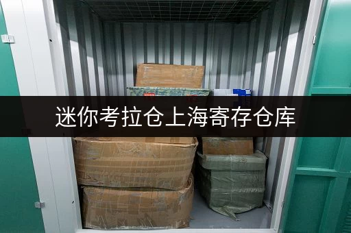 迷你考拉仓上海寄存仓库，告别杂物烦恼，存储更省心