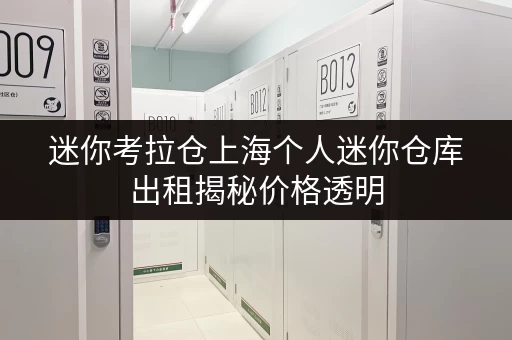 迷你考拉仓上海个人迷你仓库出租揭秘价格透明，省钱攻略大公开！