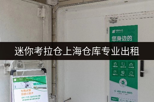 迷你考拉仓上海仓库专业出租,随存随取,告别空间烦恼! 迷你考拉仓上海仓库专业出租,随存随取,告别空间烦恼!