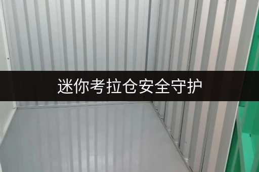 迷你考拉仓安全守护，温度掌握北京迷你考拉仓，您的长期寄存新选择