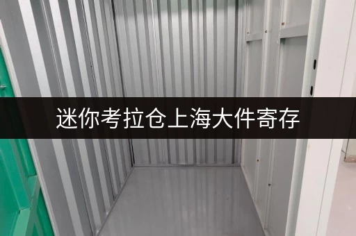 迷你考拉仓上海大件寄存,安全与温湿监控,让您的宝贝安心“栖息” 迷你考拉仓上海大件寄存,安全与温湿监控,让您的宝贝安心“栖息”