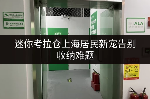 迷你考拉仓上海居民新宠告别收纳难题,迷你考拉仓随存随取全攻略 迷你考拉仓上海居民新宠告别收纳难题,迷你考拉仓随存随取全攻略