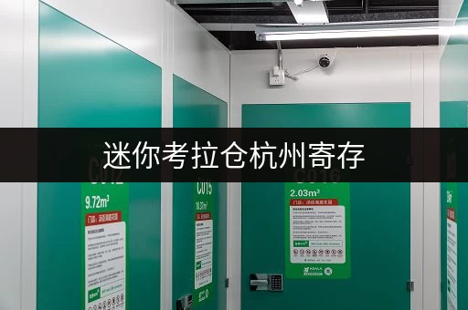 迷你考拉仓杭州寄存，物品安全与温湿监控双重保障，收费透明揭秘！