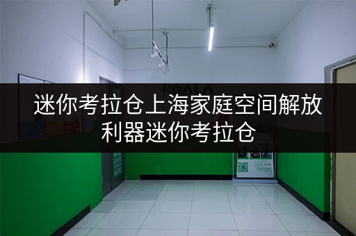 迷你考拉仓上海家庭空间解放利器迷你考拉仓，守护您的存储安全与舒适