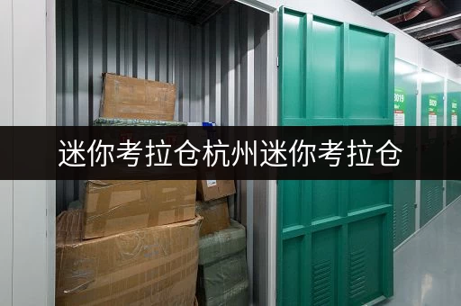 迷你考拉仓杭州迷你考拉仓，租金全攻略随存随取，便捷无忧