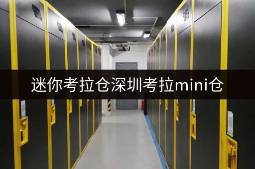 迷你考拉仓深圳考拉mini仓，省钱秘籍大公开！