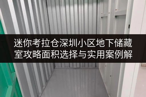 迷你考拉仓深圳小区地下储藏室攻略面积选择与实用案例解析