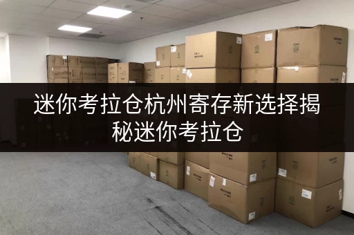 迷你考拉仓杭州寄存新选择揭秘迷你考拉仓，透明价格助你省钱无忧