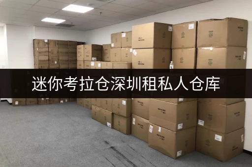 迷你考拉仓深圳租私人仓库，迷你考拉仓助力全时段便捷存取