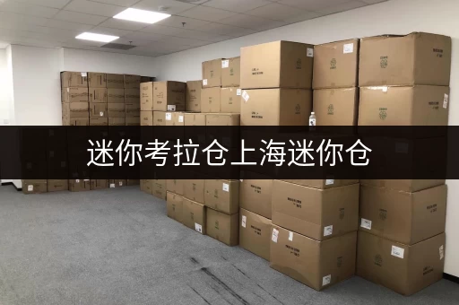 迷你考拉仓上海迷你仓,价格透明,安全无忧 迷你考拉仓上海迷你仓,价格透明,安全无忧