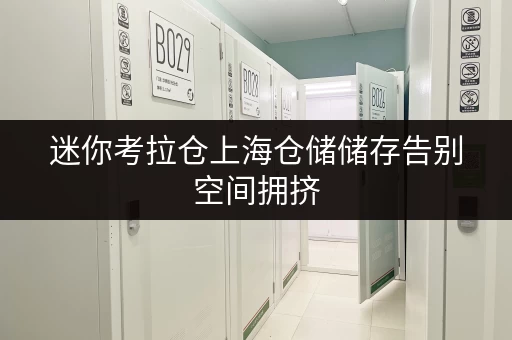 迷你考拉仓上海仓储储存告别空间拥挤,迷你考拉仓让您随存随取更便捷 迷你考拉仓上海仓储储存告别空间拥挤,迷你考拉仓让您随存随取更便捷