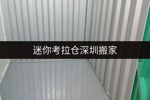 迷你考拉仓深圳搬家，仓储无忧——迷你考拉仓，您的便捷搬家仓储伴侣