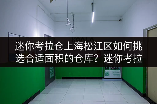 迷你考拉仓上海松江区如何挑选合适面积的仓库？迷你考拉仓带你揭秘实用案例！