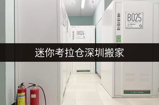 迷你考拉仓深圳搬家，临时存储不求人，迷你考拉仓为您解忧