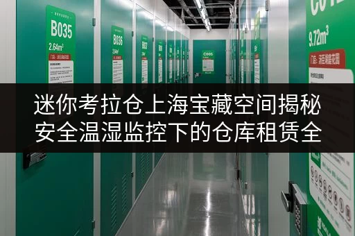 迷你考拉仓上海宝藏空间揭秘安全温湿监控下的仓库租赁全攻略 迷你考拉仓上海宝藏空间揭秘安全温湿监控下的仓库租赁全攻略
