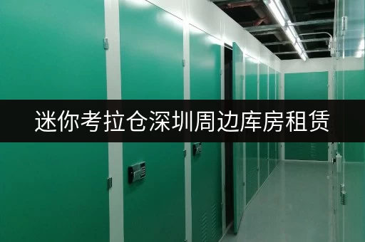 迷你考拉仓深圳周边库房租赁,安全与温湿监控双重保障 迷你考拉仓深圳周边库房租赁,安全与温湿监控双重保障