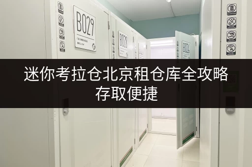 迷你考拉仓北京租仓库全攻略存取便捷,全天候服务,迷你考拉仓助力您的空间管理 迷你考拉仓北京租仓库全攻略存取便捷,全天候服务,迷你考拉仓助力您的空间管理