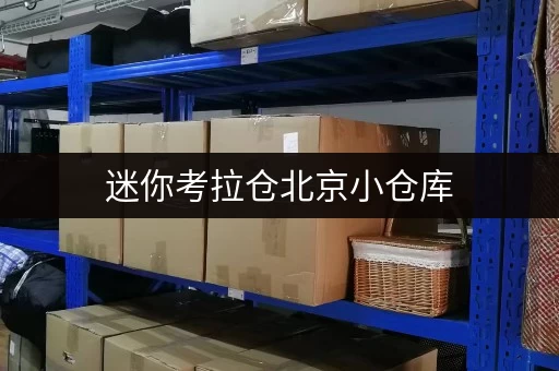 迷你考拉仓北京小仓库，让您的物品安“心”又“适”居——迷你考拉仓安全温湿监控全攻略