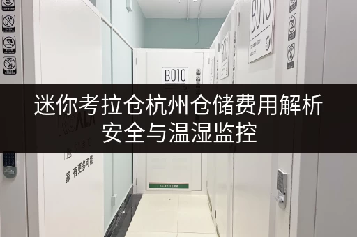 迷你考拉仓杭州仓储费用解析安全与温湿监控，为您的物品保驾护航