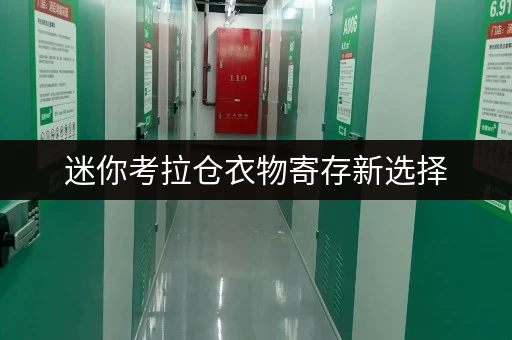 迷你考拉仓衣物寄存新选择,迷你考拉仓守护京城衣物安全 迷你考拉仓衣物寄存新选择,迷你考拉仓守护京城衣物安全
