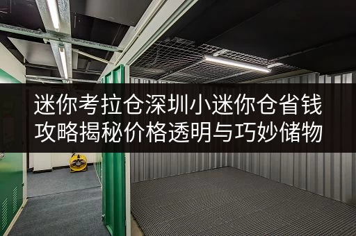 迷你考拉仓深圳小迷你仓省钱攻略揭秘价格透明与巧妙储物技巧