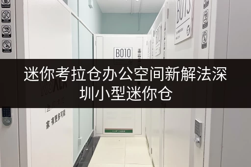 迷你考拉仓办公空间新解法深圳小型迷你仓,让办公用品存放不再烦恼 迷你考拉仓办公空间新解法深圳小型迷你仓,让办公用品存放不再烦恼