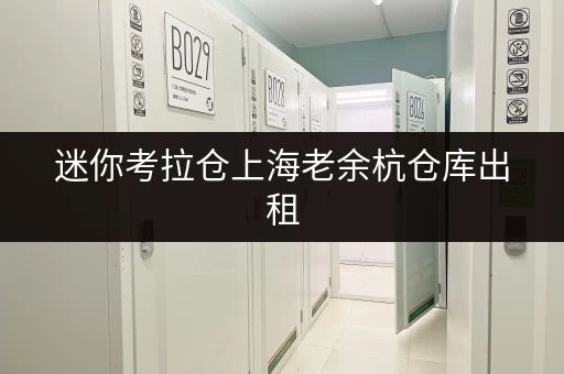 迷你考拉仓上海老余杭仓库出租，安全与温湿监控双重保障，让您的物品安心“安家”