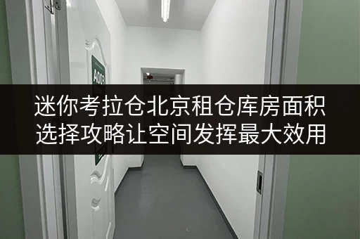 迷你考拉仓北京租仓库房面积选择攻略让空间发挥最大效用，打造你的私人储物天堂