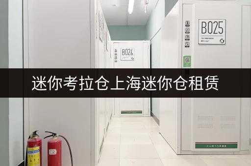 迷你考拉仓上海迷你仓租赁,揭秘安全与温湿监控背后的价格真相 迷你考拉仓上海迷你仓租赁,揭秘安全与温湿监控背后的价格真相