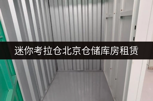 迷你考拉仓北京仓储库房租赁,安全与温湿监控双重保障,让您的物品安“心”存储 迷你考拉仓北京仓储库房租赁,安全与温湿监控双重保障,让您的物品安“心”存储