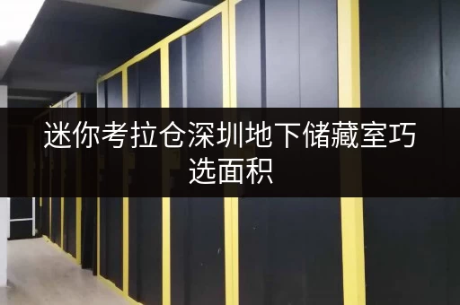迷你考拉仓深圳地下储藏室巧选面积,解锁空间收纳新境界 迷你考拉仓深圳地下储藏室巧选面积,解锁空间收纳新境界