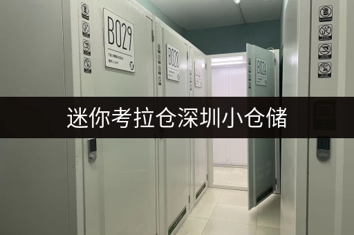迷你考拉仓深圳小仓储,随存随取,便捷生活新选择 迷你考拉仓深圳小仓储,随存随取,便捷生活新选择