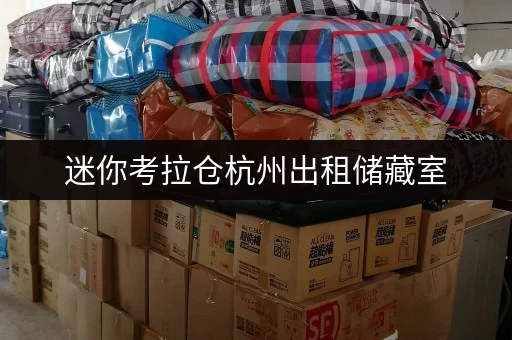 迷你考拉仓杭州出租储藏室,安全守护与温湿监测全攻略 迷你考拉仓杭州出租储藏室,安全守护与温湿监测全攻略