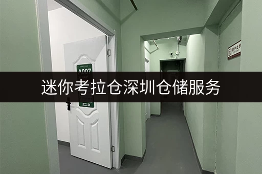 迷你考拉仓深圳仓储服务,存取无忧,全时段畅享 迷你考拉仓深圳仓储服务,存取无忧,全时段畅享