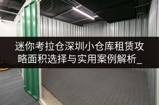 迷你考拉仓深圳小仓库租赁攻略面积选择与实用案例解析_1
