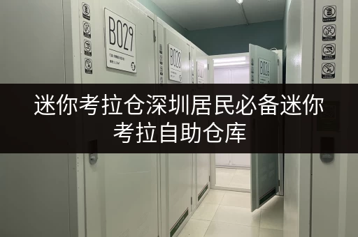 迷你考拉仓深圳居民必备迷你考拉自助仓库,安全温湿监控,守护您的宝贵物品 迷你考拉仓深圳居民必备迷你考拉自助仓库,安全温湿监控,守护您的宝贵物品