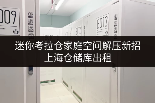 迷你考拉仓家庭空间解压新招上海仓储库出租,解锁高品质生活空间 迷你考拉仓家庭空间解压新招上海仓储库出租,解锁高品质生活空间