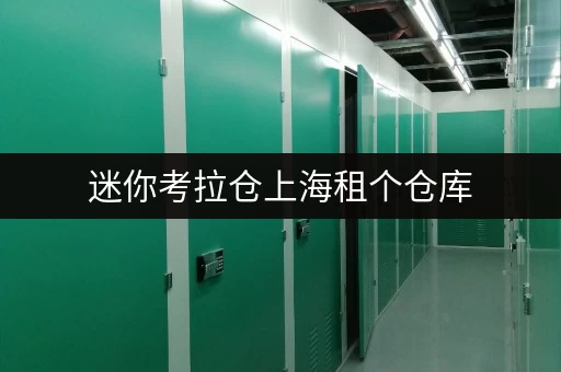 迷你考拉仓上海租个仓库,全时段便捷服务,费用明细大盘点! 迷你考拉仓上海租个仓库,全时段便捷服务,费用明细大盘点!