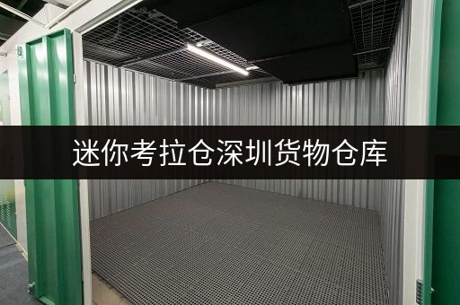 迷你考拉仓深圳货物仓库,家庭空间释放新选择 迷你考拉仓深圳货物仓库,家庭空间释放新选择