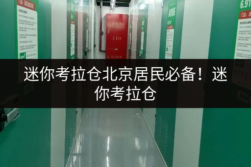 迷你考拉仓北京居民必备!迷你考拉仓,储存空间新选择 迷你考拉仓北京居民必备!迷你考拉仓,储存空间新选择