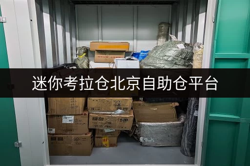 迷你考拉仓北京自助仓平台,安全与温湿监控,让您的物品安心“住”得更舒适 迷你考拉仓北京自助仓平台,安全与温湿监控,让您的物品安心“住”得更舒适