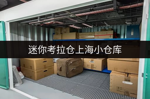 迷你考拉仓上海小仓库，安全温湿监控，守护您的每一件宝贝