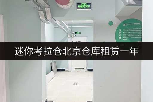 迷你考拉仓北京仓库租赁一年,迷你考拉仓为您解锁便捷存储新体验 迷你考拉仓北京仓库租赁一年,迷你考拉仓为您解锁便捷存储新体验
