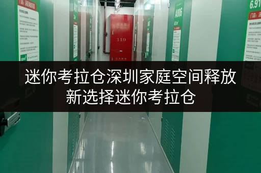 迷你考拉仓深圳家庭空间释放新选择迷你考拉仓,品质生活从此更轻松 迷你考拉仓深圳家庭空间释放新选择迷你考拉仓,品质生活从此更轻松