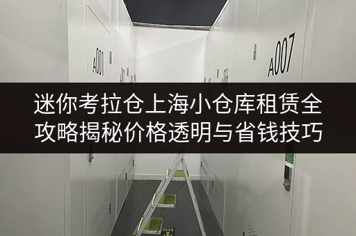 迷你考拉仓上海小仓库租赁全攻略揭秘价格透明与省钱技巧_1 迷你考拉仓上海小仓库租赁全攻略揭秘价格透明与省钱技巧_1