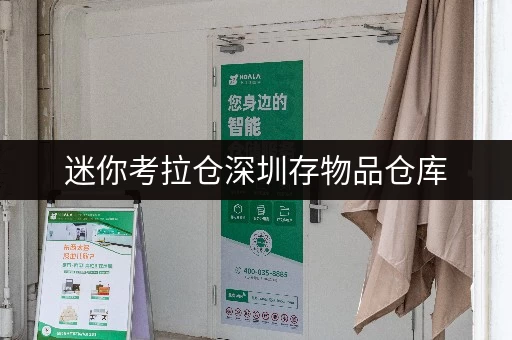 迷你考拉仓深圳存物品仓库,迷你考拉仓打造省心存储新体验 迷你考拉仓深圳存物品仓库,迷你考拉仓打造省心存储新体验