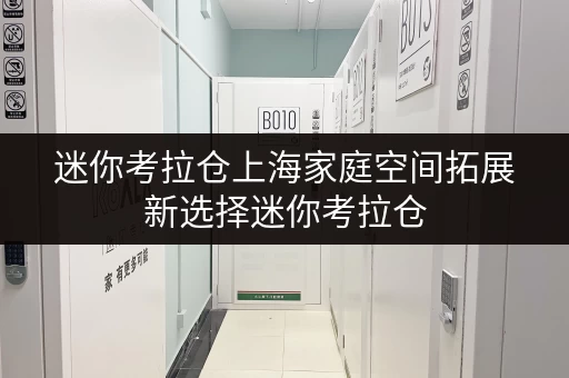 迷你考拉仓上海家庭空间拓展新选择迷你考拉仓，安全与温湿监控双重保障