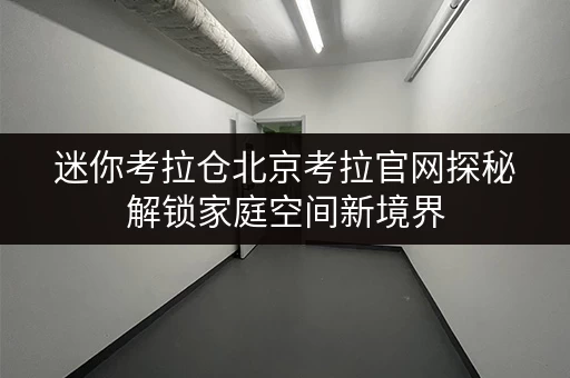 迷你考拉仓北京考拉官网探秘解锁家庭空间新境界