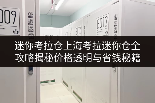 迷你考拉仓上海考拉迷你仓全攻略揭秘价格透明与省钱秘籍 迷你考拉仓上海考拉迷你仓全攻略揭秘价格透明与省钱秘籍