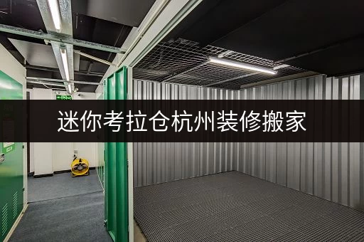 迷你考拉仓杭州装修搬家，考拉迷你自助仓——您的临时存储好帮手
